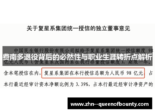 费南多退役背后的必然性与职业生涯转折点解析