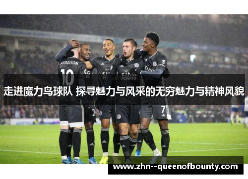 走进魔力鸟球队 探寻魅力与风采的无穷魅力与精神风貌