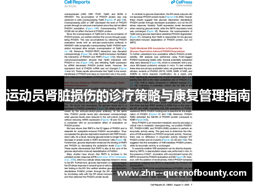 运动员肾脏损伤的诊疗策略与康复管理指南